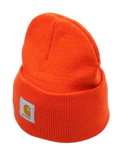 Shop Carhartt Hats In Orange