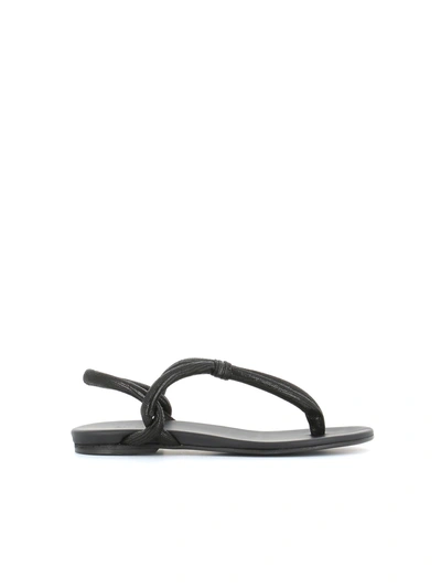 Shop Del Carlo Flip-flop 10725 In Black