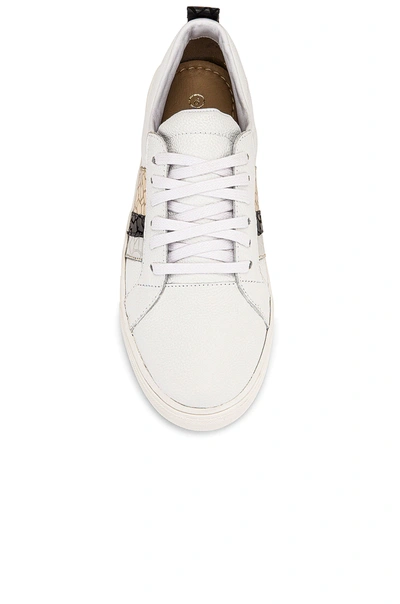 Shop Kaanas Bristol Lace Up Sneaker With Side Stripes In Silver
