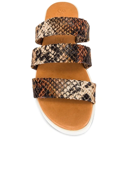 Shop Seychelles Walking On Air Sandal In Cognac Exotic