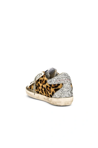 Shop Golden Goose Superstar Calf Hair Sneaker In Silver & Brown Black Leopard