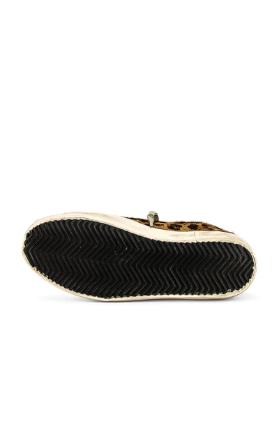 Shop Golden Goose Superstar Calf Hair Sneaker In Silver & Brown Black Leopard