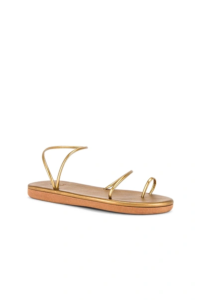 Shop Ancient Greek Sandals Kansiz Sandal In Bronze