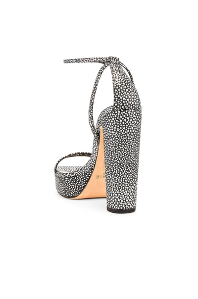 Shop Alexandre Birman Lenny Sandal In Silver