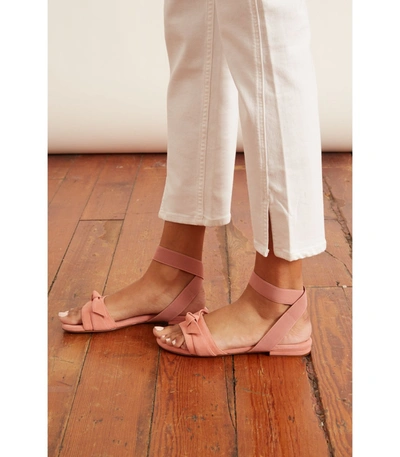 Shop Alexandre Birman Clarita Elastic Flat In Rose In Pink