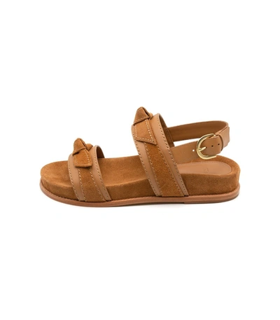 Shop Alexandre Birman Clarita Sport Sandal In Cuoio In Neutrals