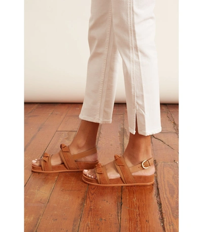 Shop Alexandre Birman Clarita Sport Sandal In Cuoio In Neutrals