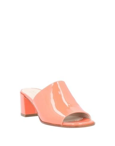 Shop 18 Kt Sandals In Salmon Pink