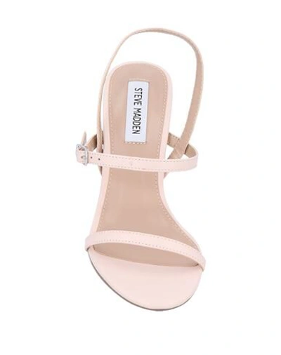 Shop Steve Madden Woman Sandals Blush Size 5.5 Soft Leather In Pink