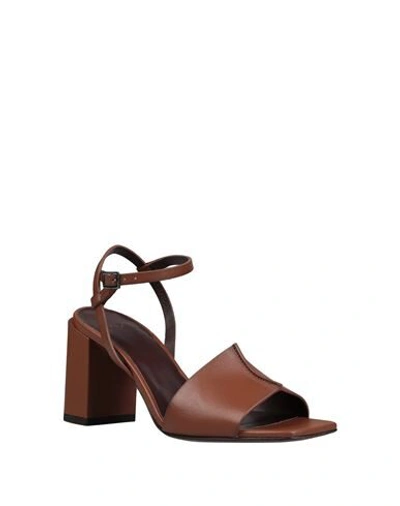 Shop Hazy Woman Sandals Brown Size 8.5 Calfskin