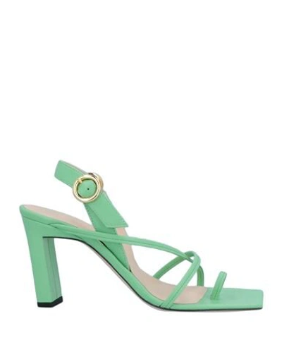 Shop Wandler Toe Strap Sandals In Light Green