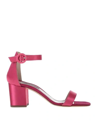 Shop Alberto Zago Sandals In Fuchsia