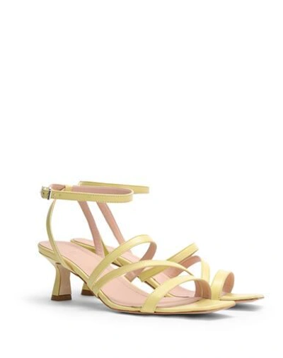 Shop 8 By Yoox Leather Square Toe Spool-heel Sandal 50 Woman Sandals Light Yellow Size 8 Ovine Leather