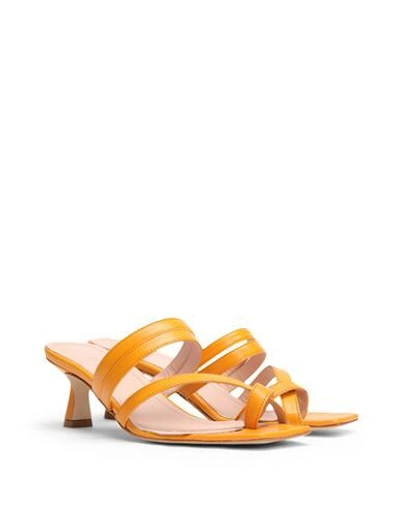 Shop 8 By Yoox Leather Almond Toe-post Sandal 50 Woman Thong Sandal Apricot Size 8 Ovine Leather In Orange