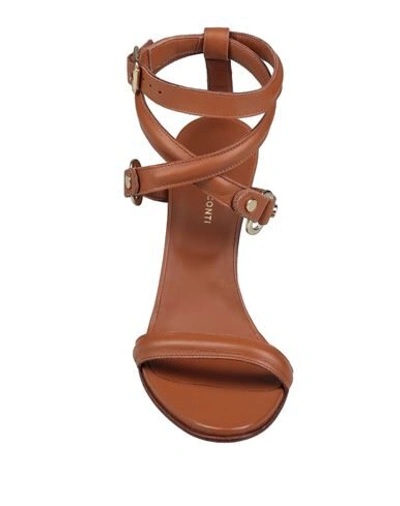 Shop Liviana Conti Sandals In Brown