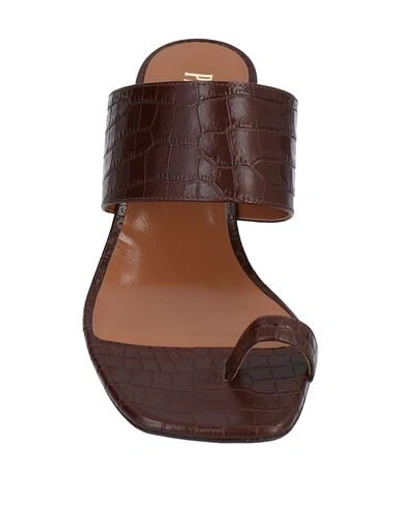 Shop Paris Texas Toe Strap Sandals In Cocoa