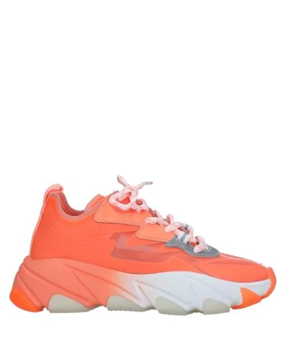 Ash Sneakers In Orange