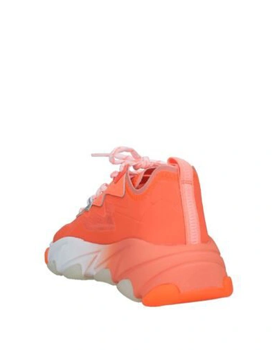 Ash Sneakers In Orange