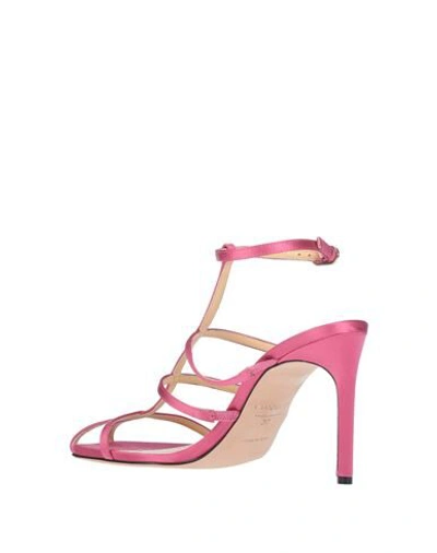 Shop Giannico Woman Sandals Fuchsia Size 8 Textile Fibers In Pink