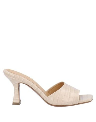 Shop Aldo Castagna Woman Sandals Beige Size 6 Soft Leather