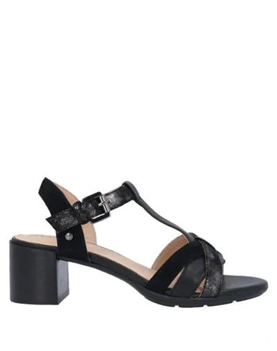 Shop Geox Woman Sandals Black Size 7 Soft Leather