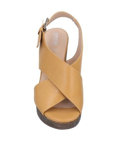 Shop Geox Woman Sandals Ocher Size 8 Soft Leather In Yellow