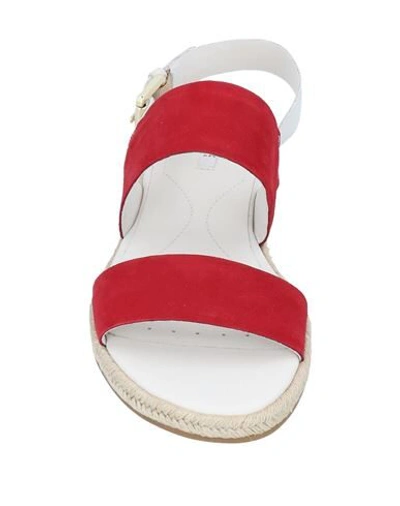 Shop Geox Woman Sandals Red Size 6 Soft Leather