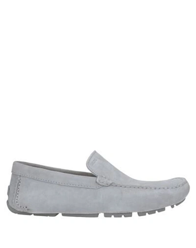 Shop Geox Man Loafers Grey Size 7 Leather