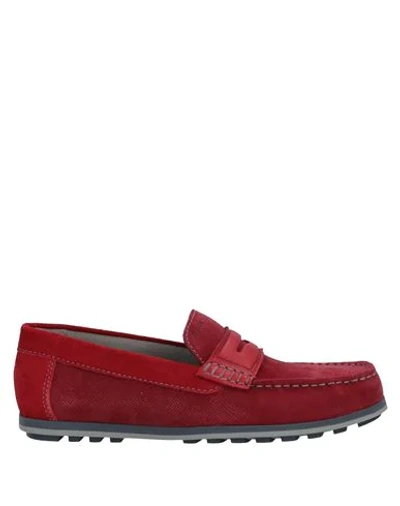 Shop Geox Loafers In Red