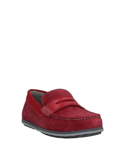 Shop Geox Loafers In Red
