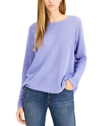 Shop Eileen Fisher Relaxed Raglan-sleeve Sweater, Regular And Plus Sizes In Hydrangea