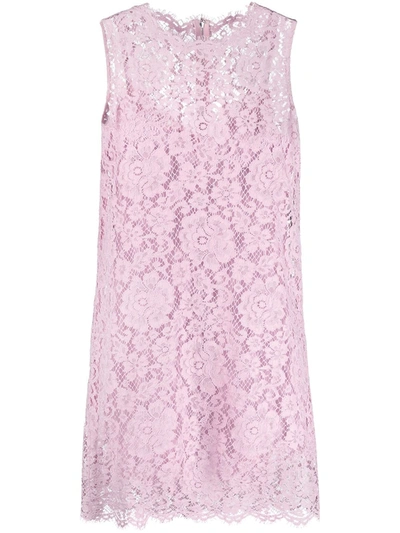 Shop Dolce & Gabbana Cordonetto Lace Shift Dress In Pink