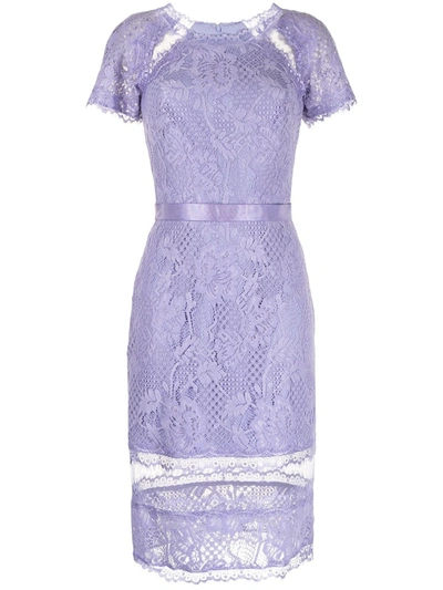 Shop Tadashi Shoji Satomi Lace Dress In Purple
