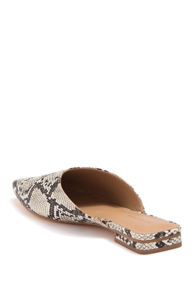 Shop 14th & Union Noa Loafer Mule In Black - White Snake