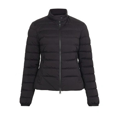 Moncler guillemot 2025 quilted down jacket