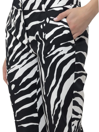 Shop Dolce & Gabbana Zebra Printed Pants In Multi