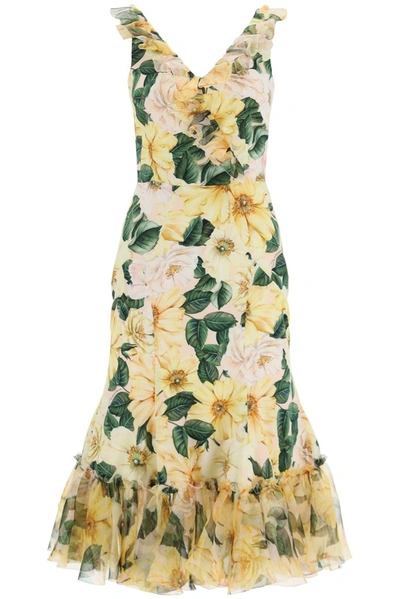 Shop Dolce & Gabbana Camellia Printed Midi Dress In Multi