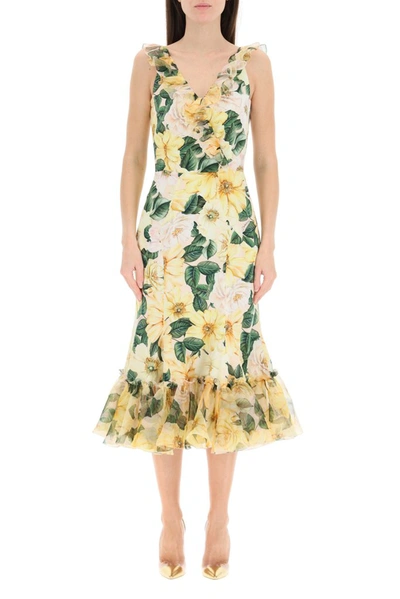 Shop Dolce & Gabbana Camellia Printed Midi Dress In Multi