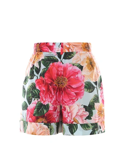 Shop Dolce & Gabbana Floral Print Mini Shorts In Multi