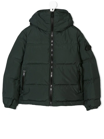 Shop Ai Riders On The Storm Young Hooded Padded Jacket In Green