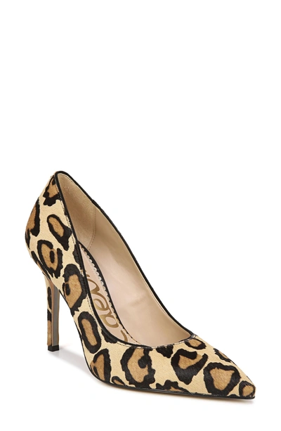 Shop Sam Edelman Hazel Genuine Calf Hair Pointed Toe Pump In New Nude Leopard Calf Hair