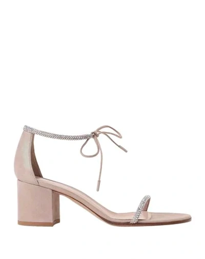 Shop Gianvito Rossi Sandals In Pale Pink