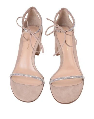 Shop Gianvito Rossi Sandals In Pale Pink