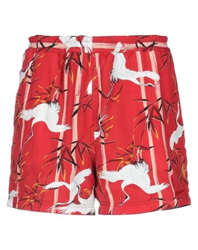 Shop Buscemi Man Shorts & Bermuda Shorts Red Size Xxl Cotton