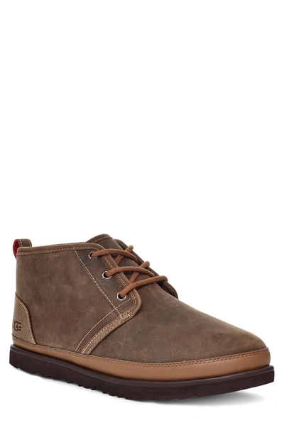 Shop Ugg Neumel Waterproof Chukka Boot In Military Sand Leather