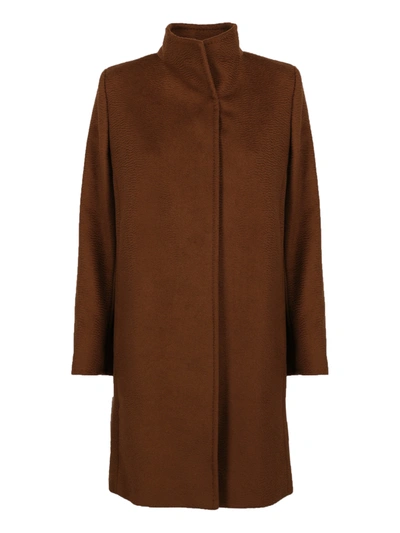 Pre-owned Max Mara Clothing In Brown