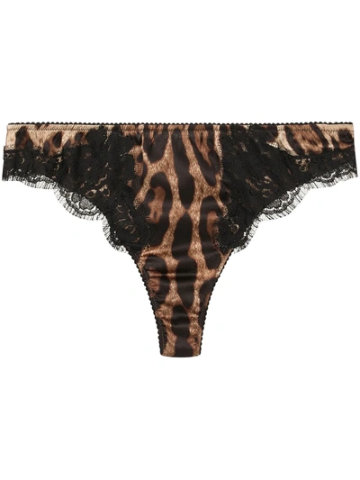 Shop Dolce & Gabbana Leopard-print Lace-trim Thong In Brown