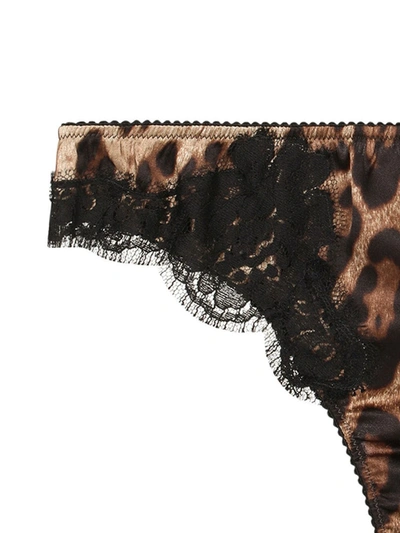 Shop Dolce & Gabbana Leopard-print Lace-trim Thong In Brown