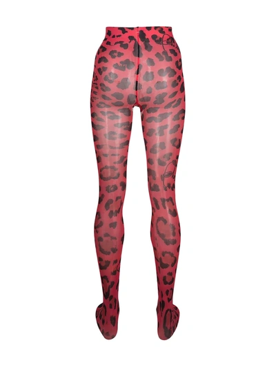 Shop Philipp Plein Leopard Print Tights In Red
