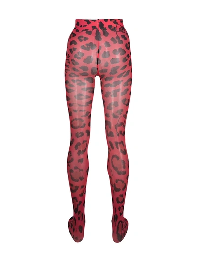 Philipp Plein Leopard Print Tights In Red
